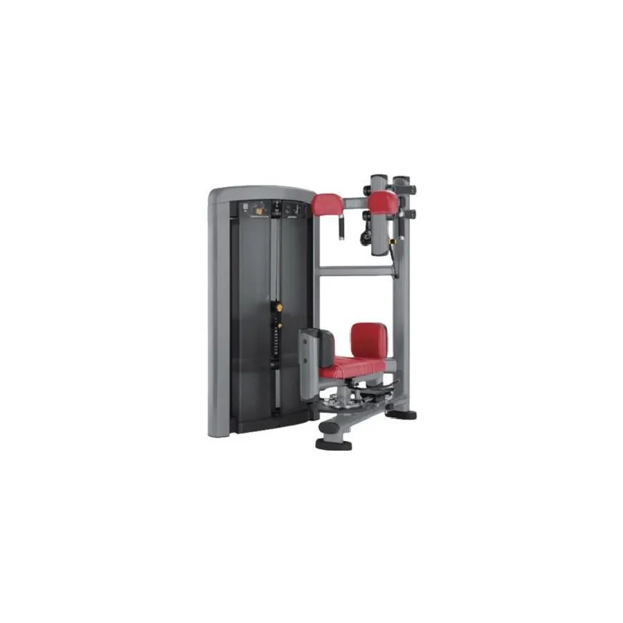 Back, Abdominal & Lat Pulldown Machine Series